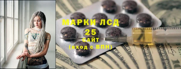 ГАЛЛЮЦИНОГЕННЫЕ ГРИБЫ Алзамай