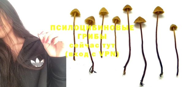 ГАЛЛЮЦИНОГЕННЫЕ ГРИБЫ Алзамай