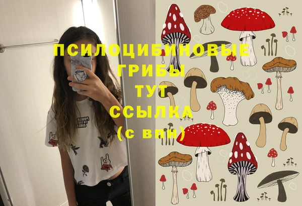 СК Алексеевка