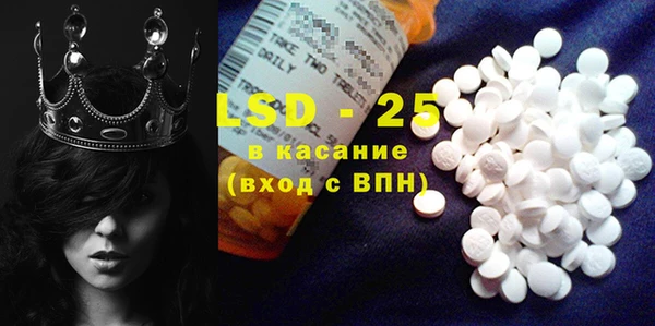 ГАЛЛЮЦИНОГЕННЫЕ ГРИБЫ Алзамай