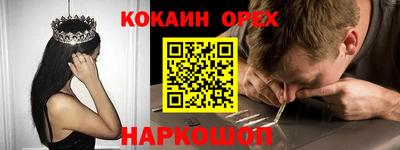 гашик Кудымкар